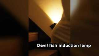 Devil fish induction lamp